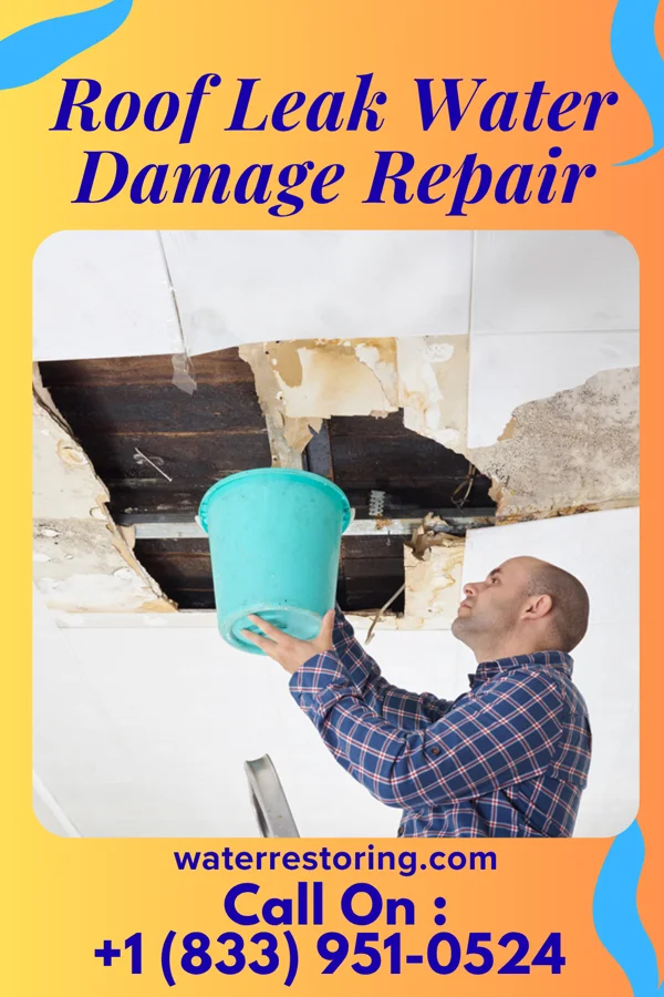 Roof Leak Water Damage Repair in Carmine, TX